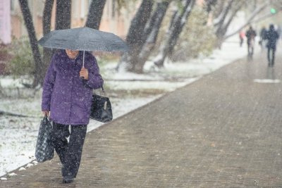 В первый рабочий день на севере Приамурья пройдет мокрый снег