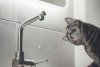 Из-за отключения света на водозаборе в домах благовещенцев пропала вода