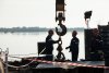 Украинские переселенцы выбирают стройку: в Приамурье трудоустроили 12 человек