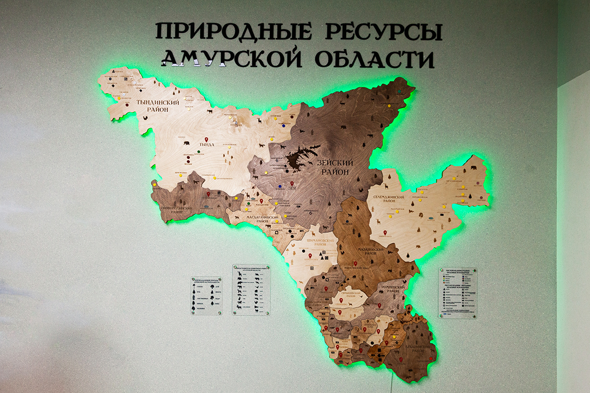 Карта амурской области со спутника в реальном времени подробная