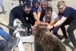 Амурчане пересылают видео с застрявшим в бидоне медвежонком: где на самом деле сняли ролик