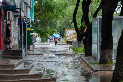 В Амурской области остаются кратковременные дожди и грозы