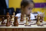 Ход конём: в Благовещенске впервые пройдет фестиваль шахмат