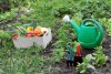 Что делать на приусадебном участке амурским садоводам в июле: перечень дел