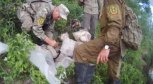 В Амурской области задержали охотившихся на лосей браконьеров