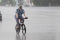 Фото: Владимир Воропаев