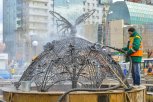 Бабочка со знаменитого фонтана в Благовещенске станет новым арт-объектом