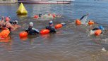 Амурчан приглашают проплыть олимпийскую дистанцию в 10 километров по реке Зее
