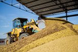 100 тысяч тонн амурского зерна и соевых продуктов отправили в Китай