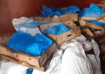 Больше 22 тонн испорченного мяса и мясных полуфабрикатов изъяли из оборота в Приамурье