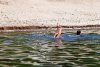 В Тамбовке спасатели на озере ищут 13-летнего ребенка