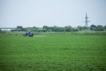 Амурское хозяйство наказали за применение пестицидов