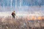 Ущерб от лесных пожаров в Амурской области снизился в полтора раза