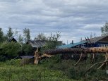 «Такого не помним»: ураган вырвал вековые сосны и оставил без света амурский посёлок