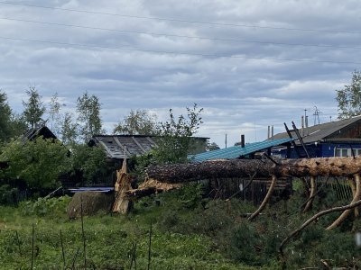 «Такого не помним»: ураган вырвал вековые сосны и оставил без света амурский посёлок