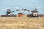 Паводок в Приамурье не подмочил урожай: сводка по уборке зерновых