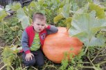 На фотоконкурс «Амурский урожай» АП ждет снимки овощей и фруктов, грибов и ягод