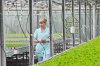 Два новых тепличных комплекса построят инвесторы в Амурской области к 2024 году