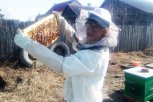 Кто такие мелипоны и как проверить мёд на качество:будущий врач рассказал об увлечении пчеловодством