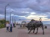 В первый конкурсный день «Амурской осени» в Приамурье вернется дождливая и холодная погода