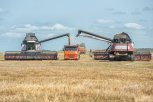 Уборочная кампания ранних зерновых культур в Приамурье вышла на финишную прямую