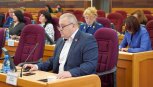 Амурские депутаты утвердили две новые награды за заслуги перед регионом