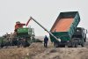 Более 55 тысяч тонн сои собрали амурские аграрии