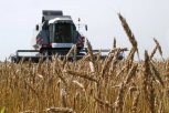 Многодетные амурчане получили почти 8,5 миллиона рублей на покупку спецтранспорта