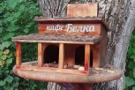 Почему полезно записывать свои тревоги, на что способно тело, и голосование за урожай: обзор АП