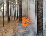 Природный пожар потушили в Бурейском округе