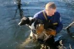 В Благовещенске спасатели помогли собаке выбраться из воды (видео)