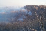 В Архаринском районе и Бурейском округе горят болота и мари
