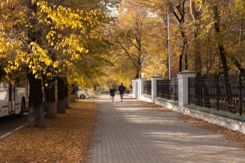 Настроение — осень: фоторепортаж с улиц Благовещенска