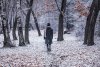 На Приамурье надвигается юго-западный циклон со снегом и ветром