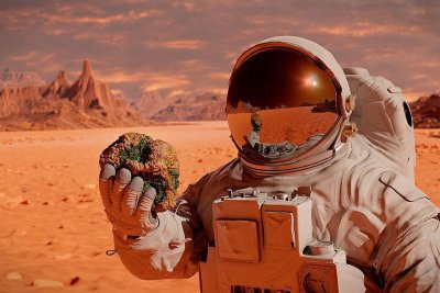 Чем опасен ретроградный Марс, и как приготовить традиционный салат «Цезарь»: обзор «Амурской правды»
