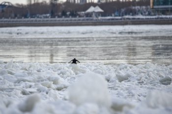 10 фото ледостава на Амуре в Благовещенске