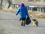 В Амурской области определили новую величину прожиточного минимума на 2023 год