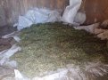 За 5 месяцев в регионе конфисковано свыше 360 кг наркотиков. Фото: УМВД России по Амурской области