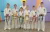 Амурские спортсмены привезли пять медалей с Кубка мира по тхэквондо