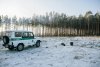 Золотодобывающая компания в Зейском районе обязана восстановить 232 гектара леса