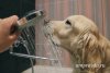 В Благовещенске 16 домов остались без воды