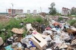 Минприроды Приамурья составило рейтинг «хорошистов» по уборке незаконных свалок