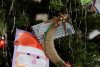 Что подарят детям из детских домов: амурчане сняли 500 писем с новогодней елки в правительстве