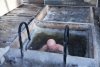 Власти Белогорска не будут делать купель для крещенских купаний к 19 января