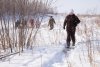 Птиц и зверей Приамурья пересчитают охотоведы до середины марта