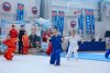 Амурский губернатор предложил провести в Благовещенске чемпионата России по ушу
