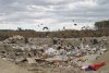 В минприроды Приамурья поступило 26 административных дел о нарушениях в сфере обращения ТКО