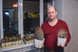 Колючее хобби: житель Благовещенска собрал уникальную коллекцию из 200 кактусов