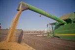 Приамурье будет наращивать производство зерновых и овощей: Владимир Путин поблагодарил аграриев