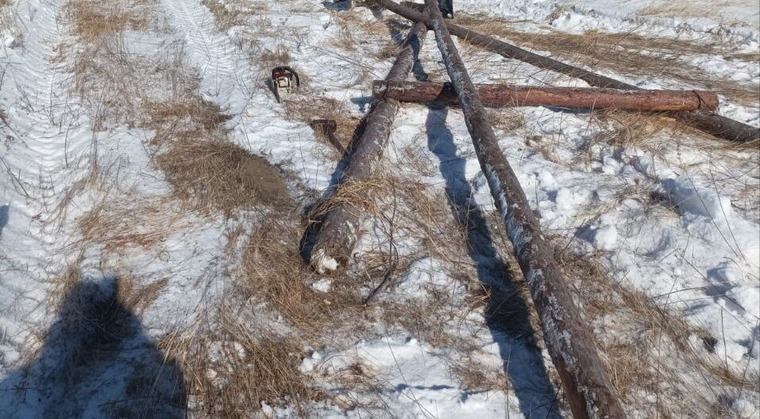 Две магнитные стрелки на подставках поставили очень близко одну к другой выберите на рисунке